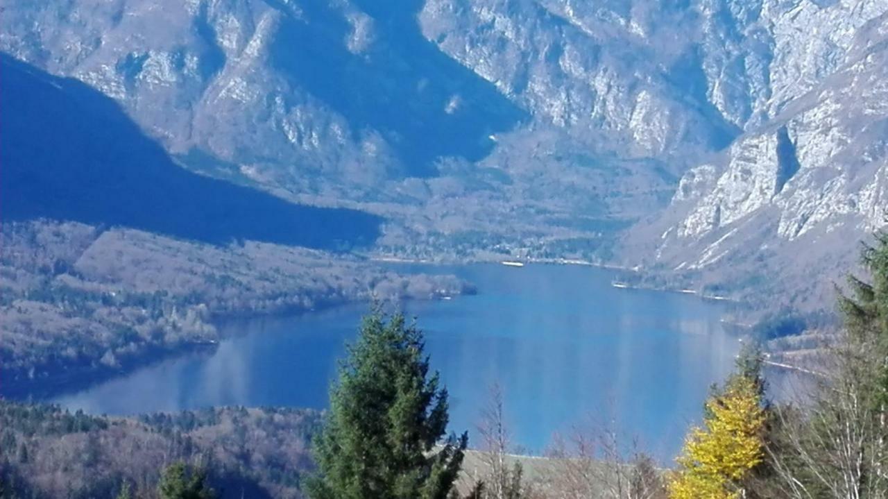 Appartamento Apartmaji Korosec Na Koprivniku Koprivnik v Bohinju Esterno foto